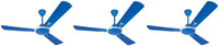 USHA striker galaxy 1200mm pack of 3 1200 mm 3 Blade Ceiling Fan(blue, Pack of 3)