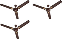 USHA Diplomat Dlx pack of 3 1200 mm 3 Blade Ceiling Fan(Brown, Pack of 3)