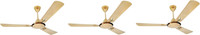 USHA striker galaxy bright gold pack of 3 1200 mm 3 Blade Ceiling Fan(bright gold, Pack of 3)