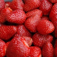 Paudha Strawberry Seed(40 per packet)
