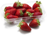 XOLDA Strawberry Seed(20 per packet)