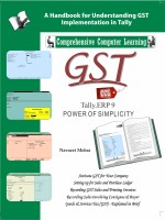 GST Tally ERP9 English  - Tally.ERP 9 Power of Simplicity(English, Paperback, Mehra Navneet)