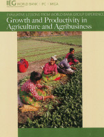 Growth and Productivity in Agriculture and Agribusiness(English, Paperback, World Bank: Independent Evaluation Group)