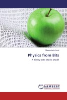Physics from Bits(Paperback, Manouchehr Amiri)