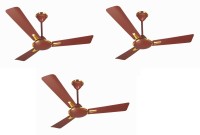 CROMPTON aura pack of 3 1200 mm 3 Blade Ceiling Fan(brown, Pack of 3)