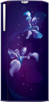 Godrej 192 L Direct Cool Single Door 3 Star Refrigerator(AQUA BLUE, RD EDGE NEO 207C 33 THF OX BL)