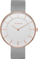 Skagen SKW2583  Analog Watch For Women