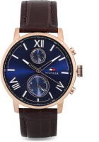 Tommy Hilfiger TH1791308  Analog Watch For Men