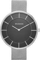 Skagen SKW2561  Analog Watch For Women