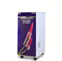 MICROACTIVE Purple Violet Fully Automatic Domestic Flour Mill,Aata Maker,Atta chakki,Ghar Ghanti,with Inside LED Light and Standard Accessories. Flourmill