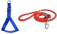havish Dog Harness & Leash(Large, BLUE)