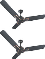 Candes Getz 1200 mm Anti Dust 3 Blade Ceiling Fan(Black, Pack of 2)