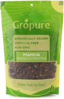 Gropure Organic Mahua Flower Dried (Madhuca Longifolia)(100 g)