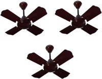Crompton Cool Breeze Anti Rust pack of 3 600 mm 4 Blade Ceiling Fan(Lustre brown, Pack of 3)
