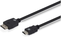 HP HDMI Cable 1 m 5NA70PA Display Port to HDMI(Compatible with Laptop, Desktop, Black, One Cable)