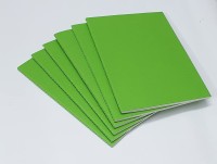 INNAXA Softcover [ Parrot Green ], Blank Pages, Pack of 6 Journals to Write Notebook, Notebook for Students and Office Writing Journal Notebook, A5 Size - 210 mm x 140 mm - 64 Blank Pages A5 Notebook Blank 64 Pages(Parrot Green, Pack of 6)