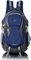 WESLEY Unisex Travel hiking laptop bag fits upto 17.3 inch with Raincover and internal organiser backpack Rucksack College bag 45 L Laptop Backpack(Grey, Blue)