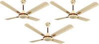 Orient Electric Quadro Ornamental metallic ivory cherry pack of 3 1200 mm 4 Blade Ceiling Fan(Metallic Ivory/Cherry, Pack of 3)