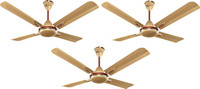Orient Electric Quadro Ornamental golden chocolate pack of 3 1200 mm 4 Blade Ceiling Fan(Golden Chocolate, Pack of 3)