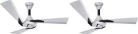 Orient Electric Orina pearl white black pack of 2 1200 mm 3 Blade Ceiling Fan(pearl white black, Pack of 2)
