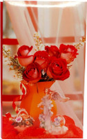 NATRAJ 204 pocket 4 "x 6" Album(Photo Size Supported: 4 x 6 inch)