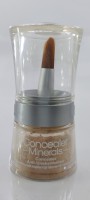 Charis Enterprise Concealer Minerals Anti Imperfection | Corrector | Brightening Powder Concealer(IVORY, 2 g)