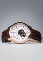 Van Heusen Men s Watches Price Tracker Price History Charts Price Drops