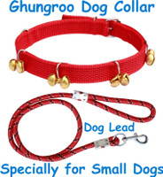 BODY BUILDING Dog Belt Combo of Red Ghungroo Collar with Red Leash Specially for Small Breed Dog Collar & Leash(Small, Red)