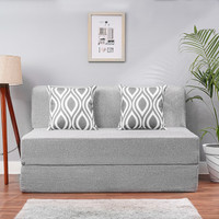 Solis Primus-comfort for all 2 Seater Double Foam Fold Out Sofa Cum Bed(Finish Color - Silver Delivery Condition - Pre-assembled)