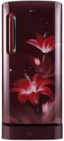 View LG 215 L Direct Cool Single Door 3 Star Refrigerator(Ruby Glow, GL-D221ARGD) Price Online(LG)