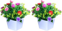 NERAPI Bonsai Multi Flower With Green leaf Multicolor Wild Flower Artificial Flower  with Pot(7 inch, Pack of 2)