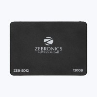 ZEBRONICS SMART 120 GB Laptop, Desktop Internal Solid State Drive (ZEB-SD12)