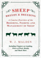 Sheep Breeds and Breeding - A Concise Overview of the Breeding, Feeding and Management of Sheep, Including Chapters on Lambing, Prices of Wool, Health, and Much More(English, Paperback, Malden W J)