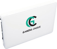 GAMER CHOICE 2.5" SSD 256 GB All in One PC's Internal Solid State Drive (SSD) (SATA-III 6Gb/s)(Interface: SATA III, Form Factor: 2.5 Inch)