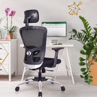 GREEN SOUL Jupiter Superb High Back Ergonomic Chair|Home, Office|2D Headrest|Lumbar Support Mesh Office Adjustable Arm Chair(Black, DIY(Do-It-Yourself))