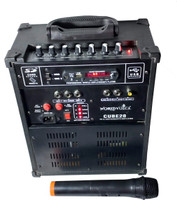 world voice BT 8" CUBE-28N Amplifier With Cordless MIC/ECHO MIC BT/USB/FM/MP3/SD-MMC/AUX 30 W AV Power Amplifier(Black)