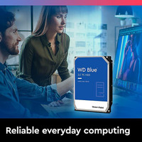WD WD Blue PC Hard Drive 2 TB Desktop Internal Hard Disk Drive (HDD) (Western Digital 2TB - WD20EZBX)(Interface: SATA, Form Factor: 3.5 inch)