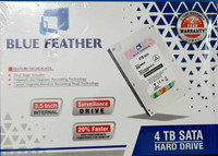 Blue Feather SERVILLANCE 4 TB Surveillance Systems Internal Hard Disk Drive (HDD) (BFDT045)(Interface: SATA, Form Factor: 3.5 inch)