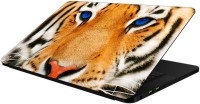 FineArts Animals - LS5303 Vinyl Laptop Decal 15.6   Laptop Accessories  (FineArts)
