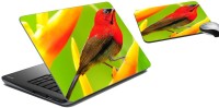 meSleep Bird Laptop Skin and Mouse Pad 52 Combo Set(Multicolor)   Laptop Accessories  (meSleep)