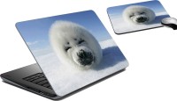 meSleep Polar Face LSPD-21-062 Combo Set(Multicolor)   Laptop Accessories  (meSleep)