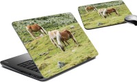meSleep Horses LSPD-17-38 Combo Set(Multicolor)   Laptop Accessories  (meSleep)