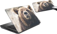 meSleep Bear LSPD-17-61 Combo Set(Multicolor)   Laptop Accessories  (meSleep)