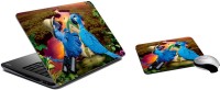 meSleep Animated Birds LSPD-15-30 Combo Set(Multicolor)   Laptop Accessories  (meSleep)