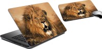 meSleep Lion LSPD-23-47 Combo Set(Multicolor)   Laptop Accessories  (meSleep)