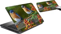 meSleep Birds LSPD-16-01 Combo Set(Multicolor)   Laptop Accessories  (meSleep)