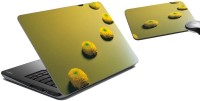 meSleep Flower Line Laptop Skin and Mouse Pad 4 Combo Set(Multicolor)   Laptop Accessories  (meSleep)
