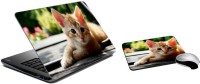 meSleep Cat LSPD-14-49 Combo Set(Multicolor)   Laptop Accessories  (meSleep)