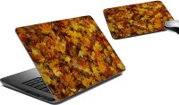 meSleep Autumn Leaves LSPD-21-201 Combo Set(Multicolor)   Laptop Accessories  (meSleep)