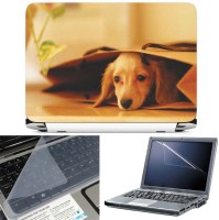 FineArts Dog in Bag 3 in 1 Laptop Skin Pack With Screen Guard & Key Protector Combo Set(Multicolor)   Laptop Accessories  (FineArts)